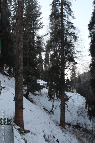 Wallpaper Mural Beauty of Nature Torontodigital.ca