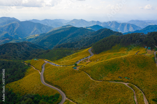 Aerial view of Mexican sunflower (Tung Bua Tong ) field on mountain at Doi Mae U Kho, Khun Yuam, Mae Hong Son, Thailand