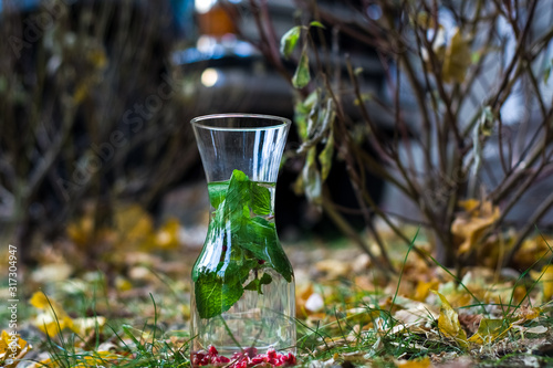 Decanter with useful water for health with pomegranate and fresh mint. Background of autumn leaves.