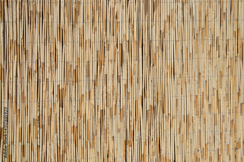Reed wall texture