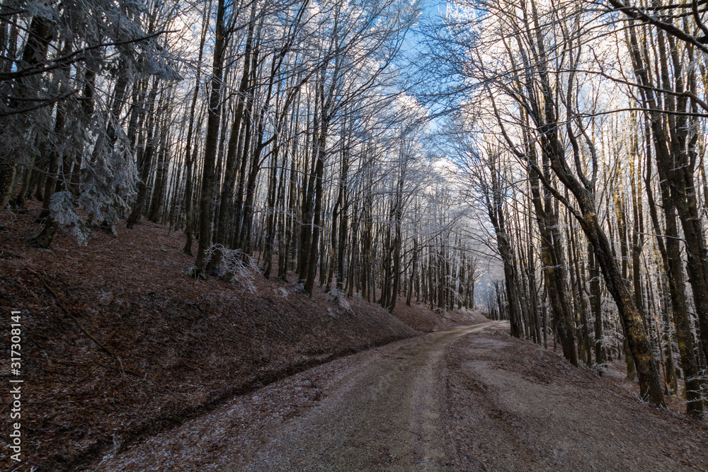 Parco Nazionale delle Foreste Casentinesi, Italy Parco Nazionale delle Foreste Casentinesi, Italy