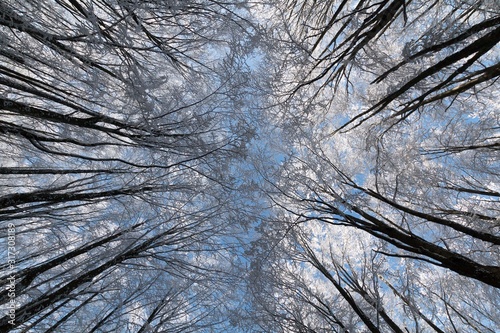 Parco Nazionale delle Foreste Casentinesi, Italy