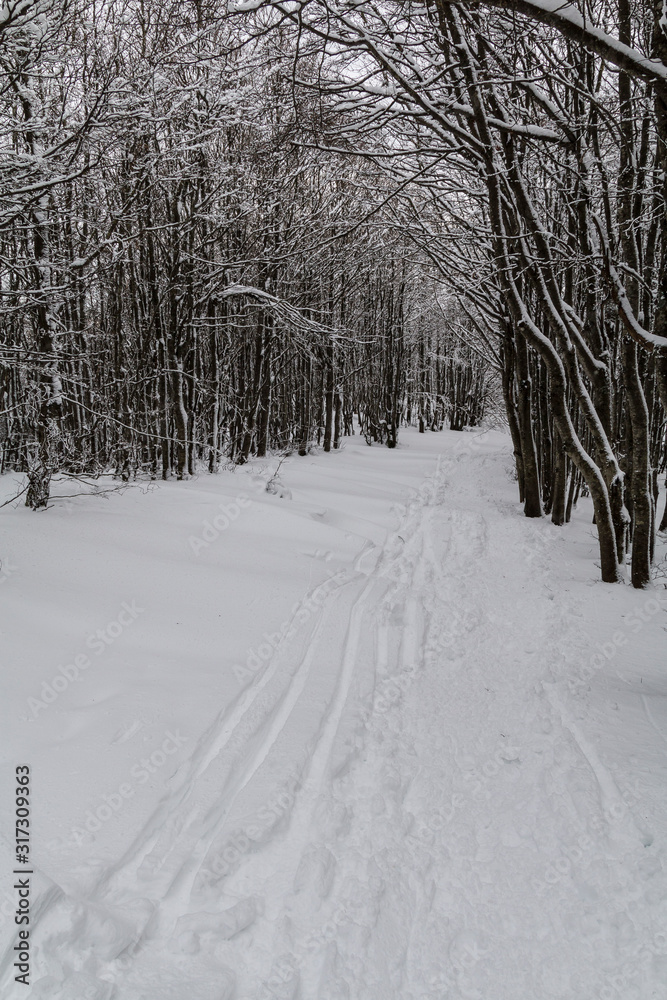 Parco Nazionale delle Foreste Casentinesi, Italy Parco Nazionale delle Foreste Casentinesi, Italy