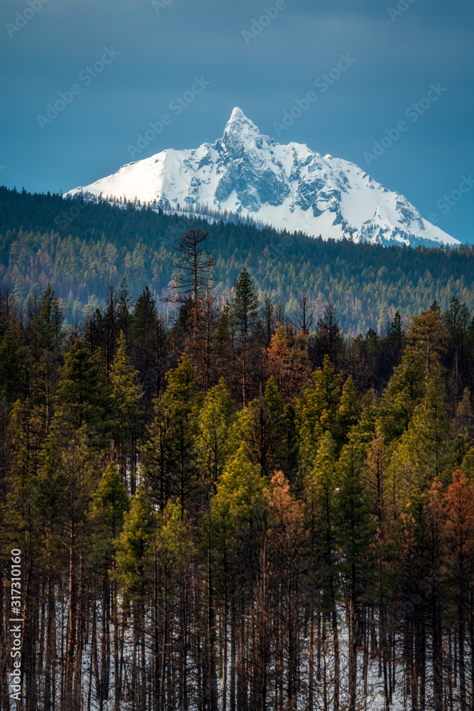 Mount Washington Oregon - Bend Oregon