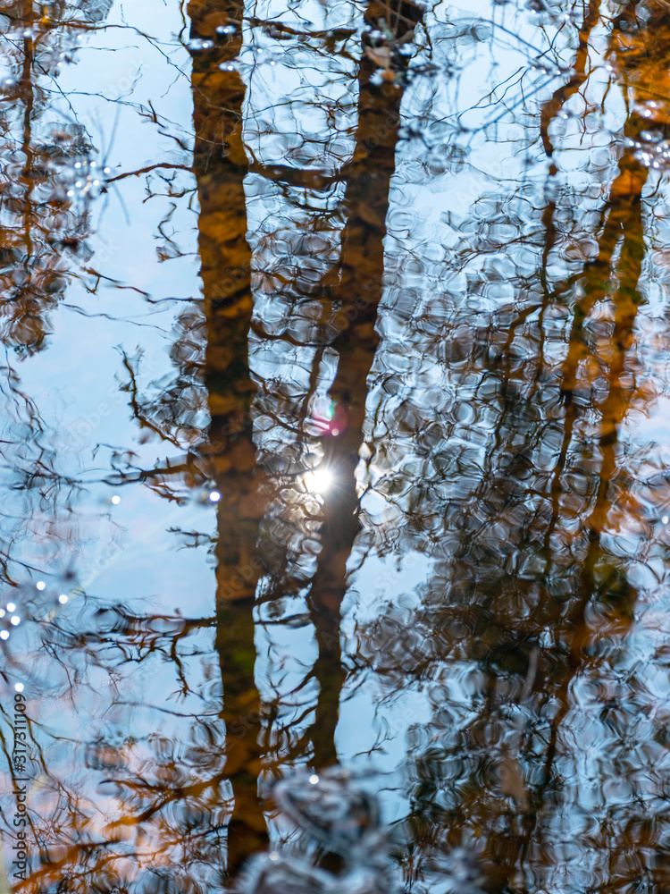 Fototapeta premium abstract tree and sky reflections in water, fuzzy texture, wallpaper