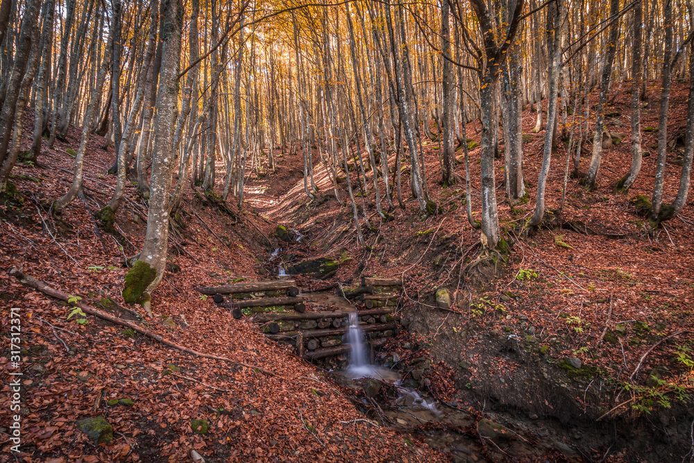 Parco Nazionale delle Foreste Casentinesi, Italy Parco Nazionale delle Foreste Casentinesi, Italy