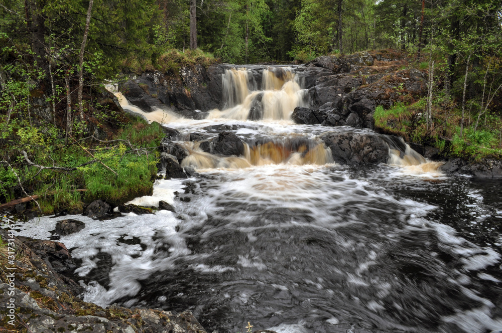 Fototapeta premium Large waterfall in a forest, on a river with dark water, on a cloudy spring day