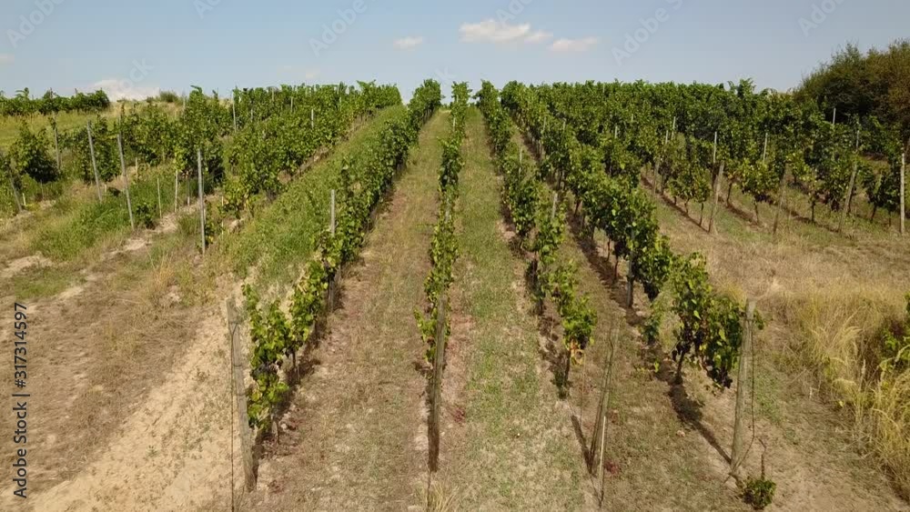 Aerial Drone Shot of Elbeland Winelands Saxony Germany Aerial Drone Shot of Elbeland Winelands Saxony Germany