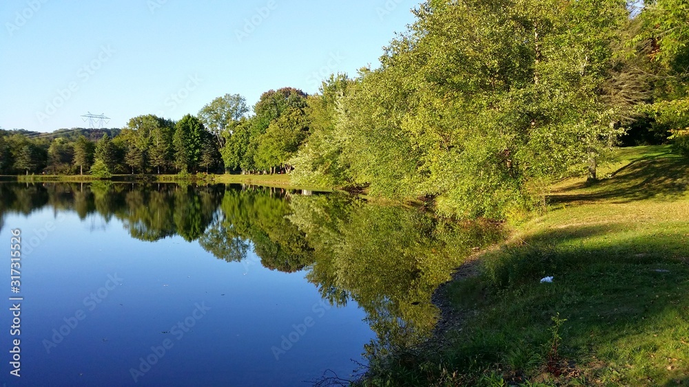 lake in forest lake in forest