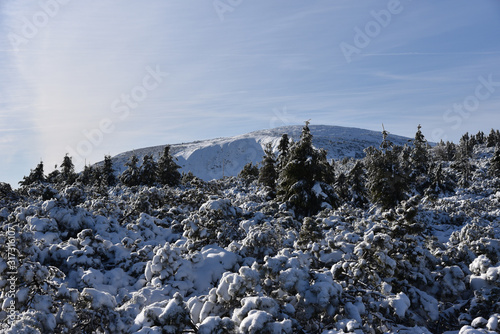 Winter trials and panorama of Karkonosze Mountains, Karkonosze National Park, Poland. © Mariusz
