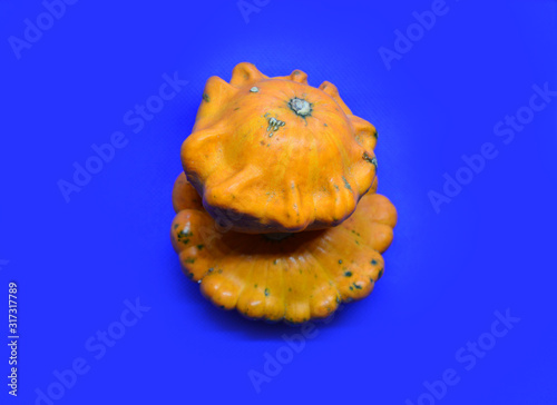 Fresh two pattypan squash on blue background with copy space. Top view Flat barking. Template for your design, invitation, greeting card. photo