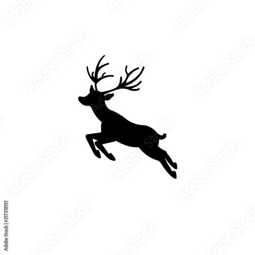 Deer isolated white background