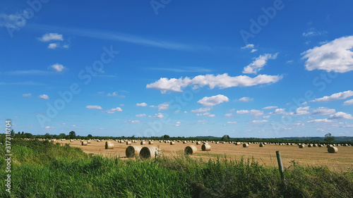 Haye fields in a rural scenery photo