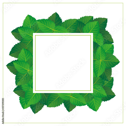 Frame made of green leaves © DUYGU YALÇIN