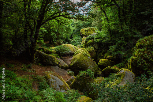 La forêt de Huelgoat