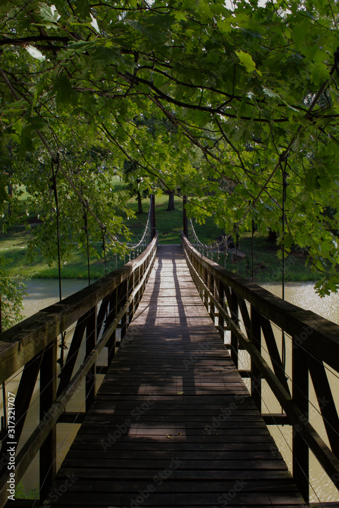 Obraz premium The bridge to knowledge 