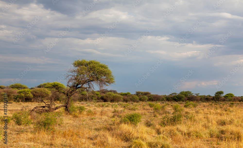 Landschaft nahe der Waterberg-Region, Namibia
