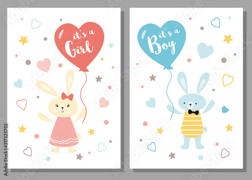 Its a boy its a girl Baby shower greeting card Baby announcement Cute kids design element rabbit balloon © Tani Kuzminka
