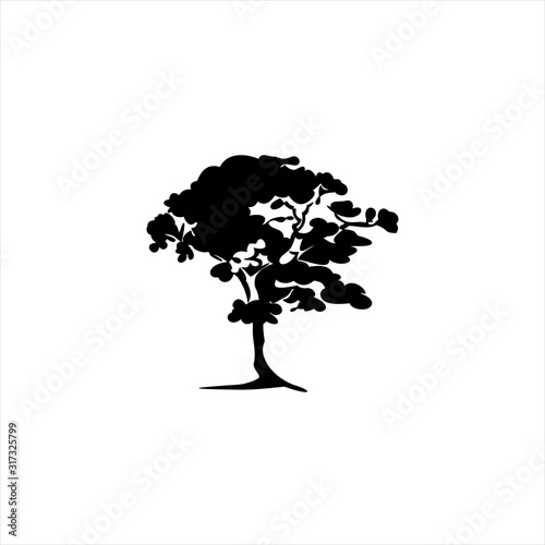 drawing of nature tree vector illustration