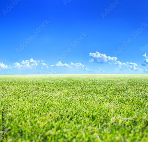 Classic beautiful landscape. Green surface of beautiful natural grassy lawn in summer sunny weather. Clear blue sky with cumulus clouds. Free from anything horizon.