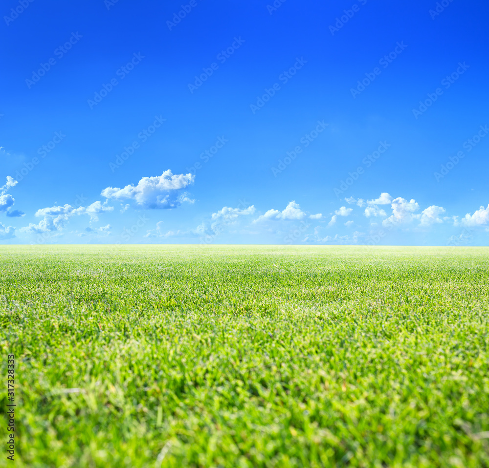 Fototapeta premium Classic beautiful landscape. Green surface of beautiful natural grassy lawn in summer sunny weather. Clear blue sky with cumulus clouds. Free from anything horizon.