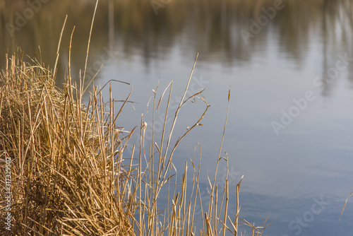 Beautiful lake in early spring