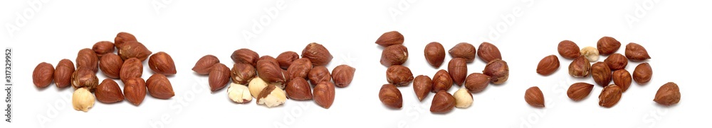 Hazelnut seeds on a white background. Hazelnut seeds on a white background.
