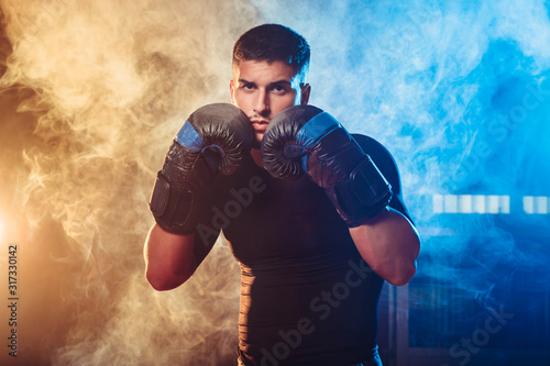 Portrait muscular and handsome boxer in fighting pose with profe © dark_saiyaman