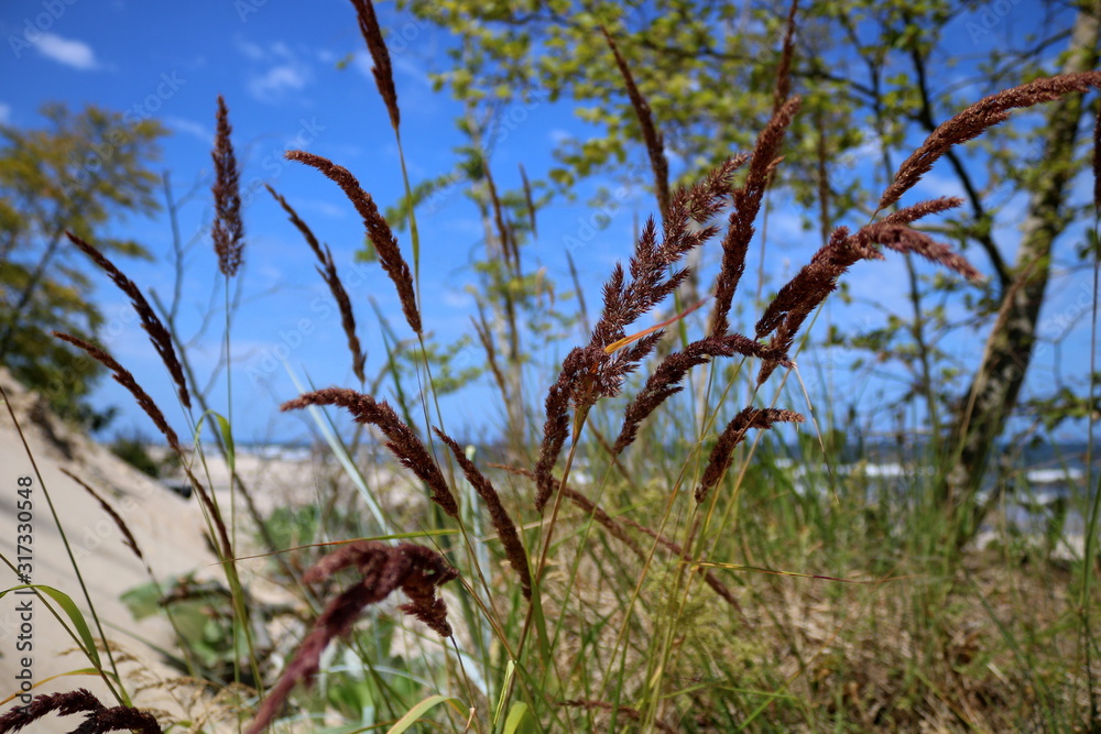 Usedom Usedom