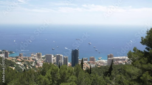 Monaco von oben, wunderschönes blaues Mittelmeer mit Yachten und anderen Schiffen und grüne Kiefern im Vordergrund