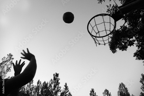 basquet photo