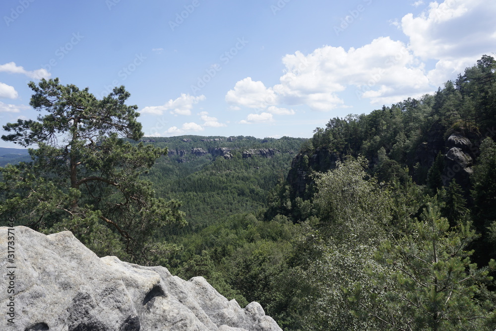 Panorama from Schrammsteine massif over green forest to sandstone rocks