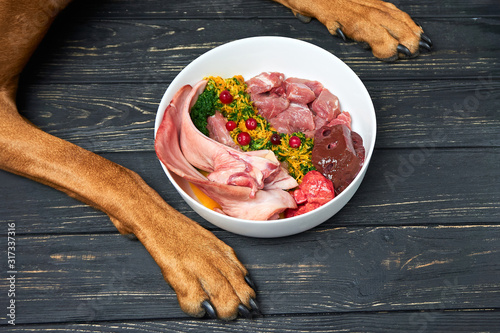 Natural raw organic dog food in bowl on black wooden floor and dog's paws on background photo