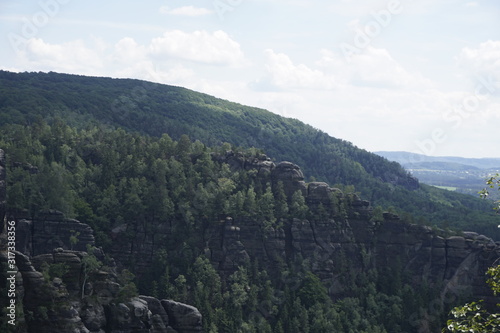 Beautiful sandstone rock formations in front of forest in Saxon Switzerland