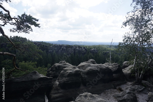 Dangerous looking canyon with sandstone rock formations in Saxon Switzerland