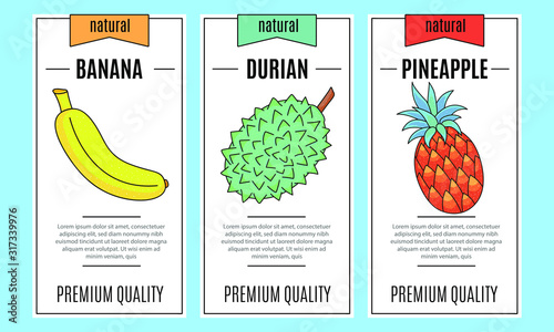 Fresh fruit banner set. Banana  durian  pineapple. Vector stock illustration. food and  drink design. 