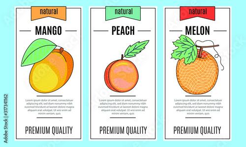 Fresh fruit banner set.  Mango  melon  peach. Vector stock illustration. food and  drink design. 