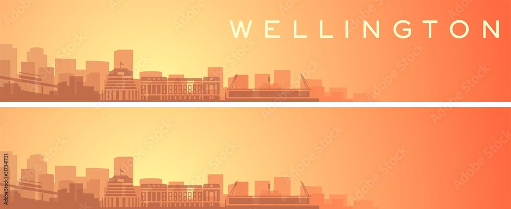 Wellington Beautiful Skyline Scenery Banner
