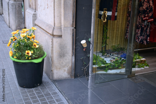 Photography Shop Doorway and Planter with Yellow Flowers
