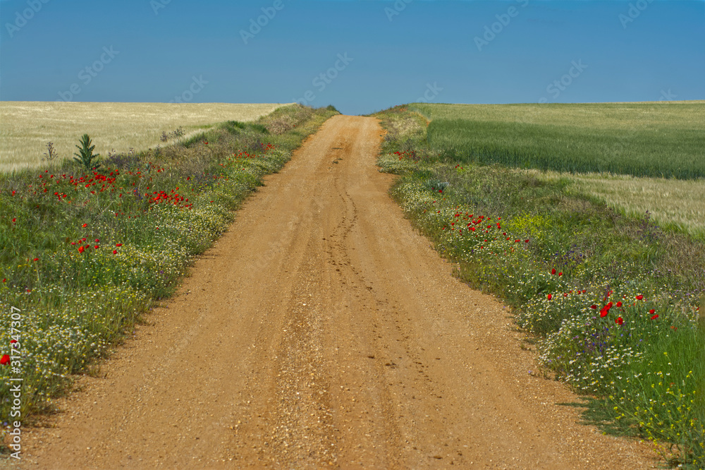 Carretera