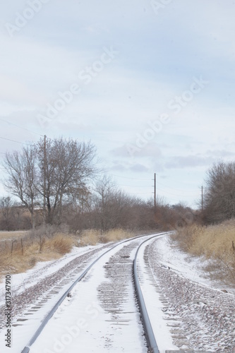 tracks in winter 