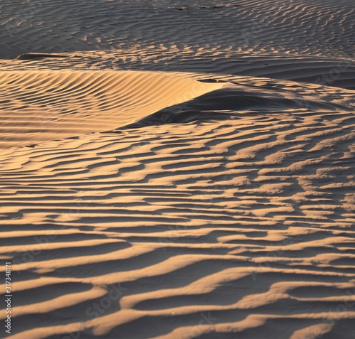 Fototapeta Naklejka Na Ścianę i Meble -  The Little Sahara sand dunes