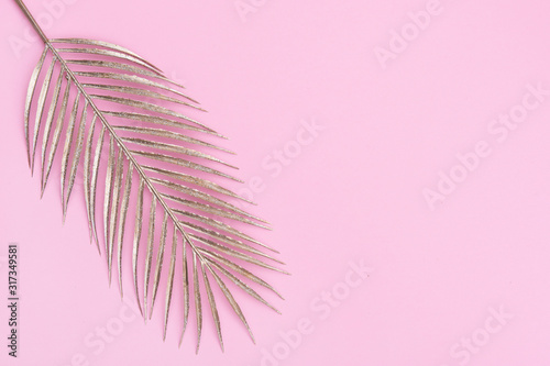 Palm leaf on pinkbackground with place for your text © Augustas Cetkauskas