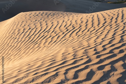 Fototapeta Naklejka Na Ścianę i Meble -  The Little Sahara sand dunes
