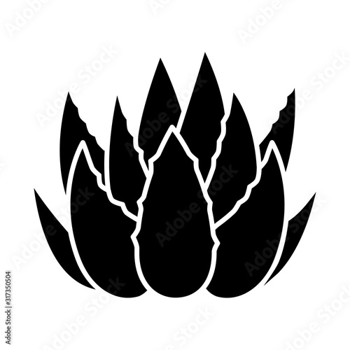 Cactus sprouts black glyph icon. Aloe vera leaves. Growing medicinal herb. Decorative plant. Botanical ingredient. Dermatology. Silhouette symbol on white space. Vector isolated illustration