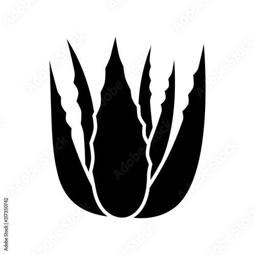 Succulent sprouts black glyph icon. Growing aloe vera. Cactus leafs and medicinal herb. Decorative plant. Ingredient for vegan cosmetic. Silhouette symbol on white space. Vector isolated illustration