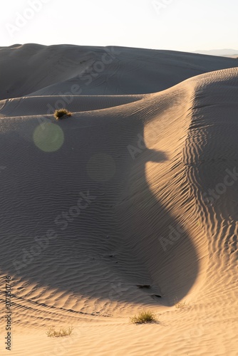 Fototapeta Naklejka Na Ścianę i Meble -  The Little Sahara sand dunes