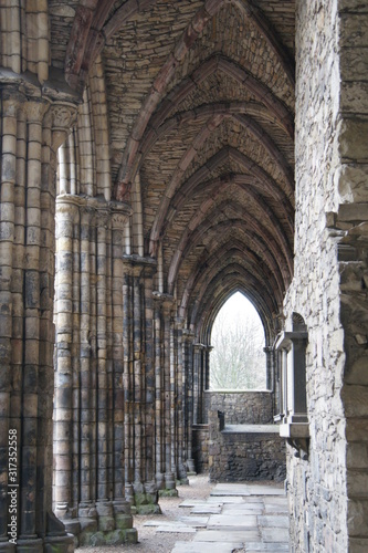 arcos catedral