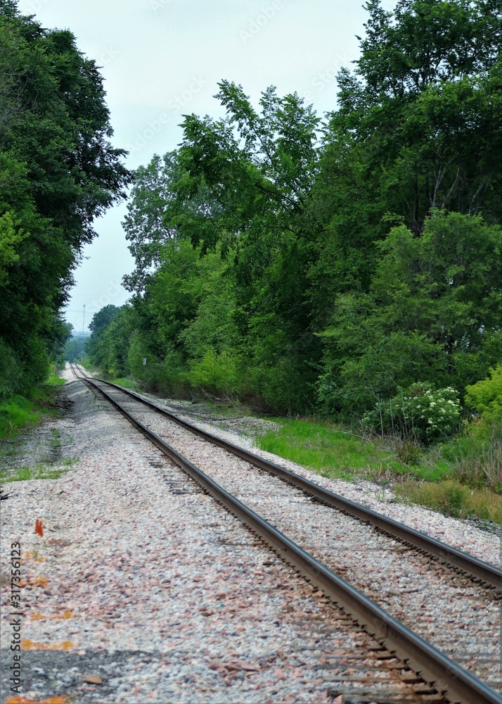 Fototapeta premium railway in the forest