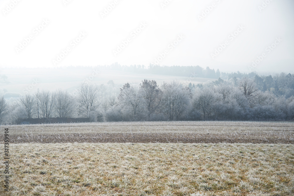 Nebelige Winterlandschaft